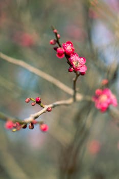 港股开盘受压 恒指低开1.22百分号 翰森制药(03692)跌3.89百分号