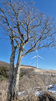 因美国为霍尔木兹海峡提供护航的计划未能平息局势 油价再度大幅上涨