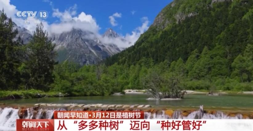  国土绿化迈入新阶段；从单一林转向混交林；多地发力精准提质 文化旅游 国土绿化迈入新阶段；从单一林转向混交林；多地发力精准提质 文化旅游 国土绿化迈入新阶段；从单一林转向混交林；多地发力精准提质 文化旅游
