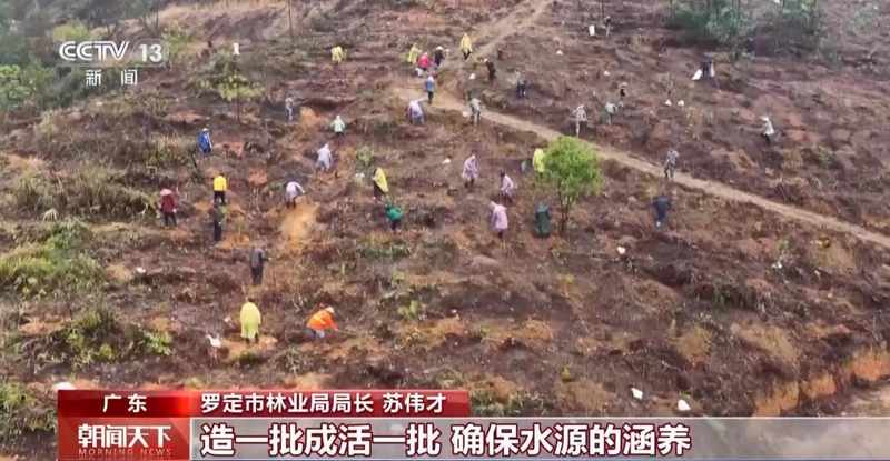  国土绿化迈入新阶段；从单一林转向混交林；多地发力精准提质 文化旅游 国土绿化迈入新阶段；从单一林转向混交林；多地发力精准提质 文化旅游 国土绿化迈入新阶段；从单一林转向混交林；多地发力精准提质 文化旅游