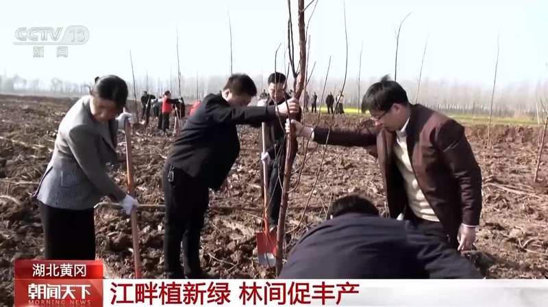  国土绿化迈入新阶段；从单一林转向混交林；多地发力精准提质 文化旅游 国土绿化迈入新阶段；从单一林转向混交林；多地发力精准提质 文化旅游 国土绿化迈入新阶段；从单一林转向混交林；多地发力精准提质 文化旅游