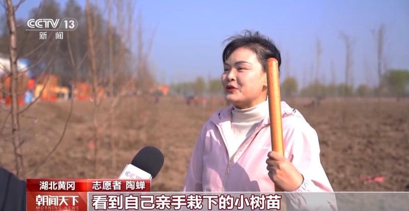  国土绿化迈入新阶段；从单一林转向混交林；多地发力精准提质 文化旅游 国土绿化迈入新阶段；从单一林转向混交林；多地发力精准提质 文化旅游 国土绿化迈入新阶段；从单一林转向混交林；多地发力精准提质 文化旅游