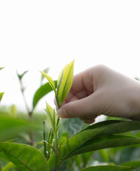中东局势缓和迹象显现；美股三大指数显著回升，投资者信心逐步恢复。