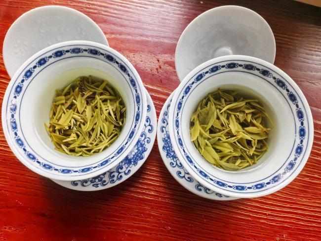 在玄武湖边喝一盏清茶：找回久违的松弛感