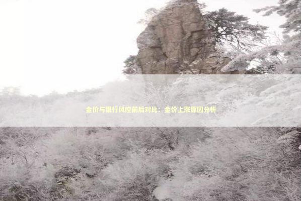 金价与银行风控前后对比：金价上涨原因分析