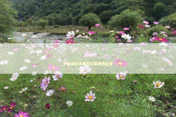 小金属逆市爆发公募拥抱旧爱