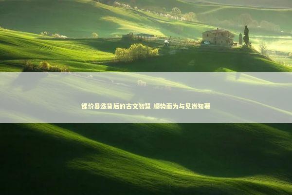 锂价暴涨背后的古文智慧 顺势而为与见微知著