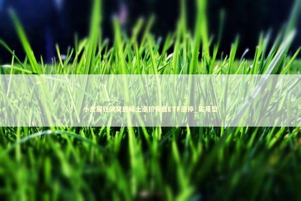 小金属狂飙突进稀土涨价有色ETF涨停_实用型