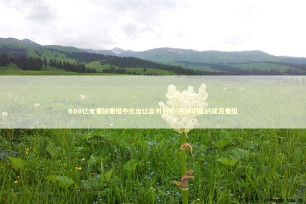 600亿元重磅重组中化出让泉州石化-古诗词里的能源重组