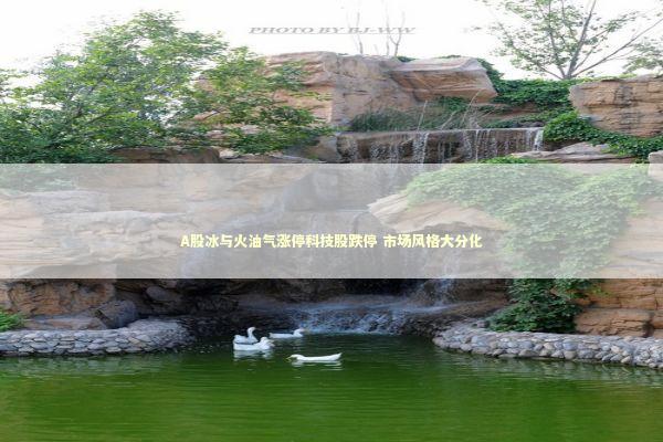 A股冰与火油气涨停科技股跌停 市场风格大分化