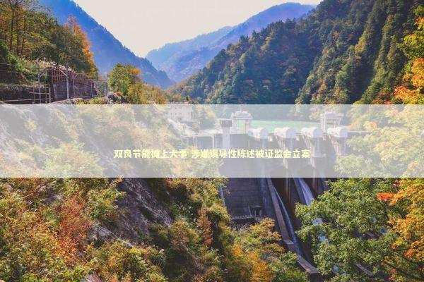双良节能摊上大事 涉嫌误导性陈述被证监会立案