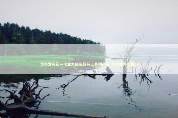 华为发布新一代算力底座超节点系列产品-华为算力实用型