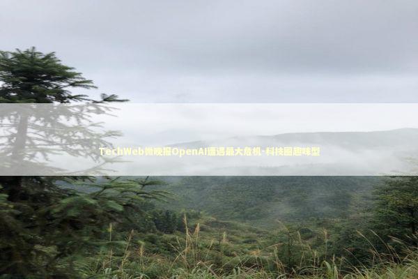TechWeb微晚报OpenAI遭遇最大危机-科技圈趣味型
