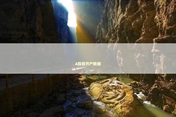 A股新开户数据