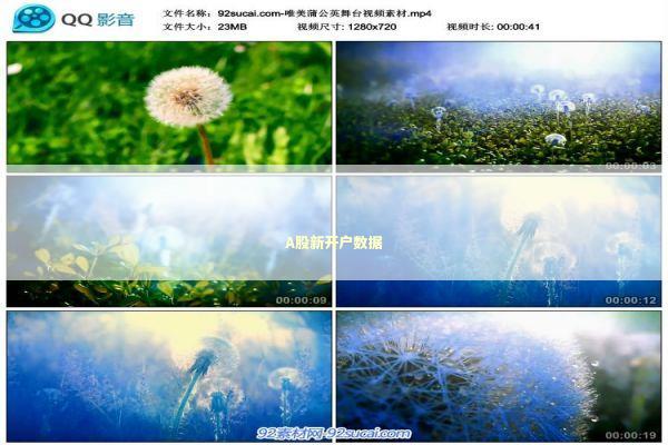 A股新开户数据