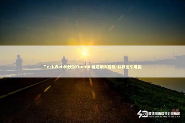 TechWeb微晚报OpenAI遭遇最大危机-科技圈引用型