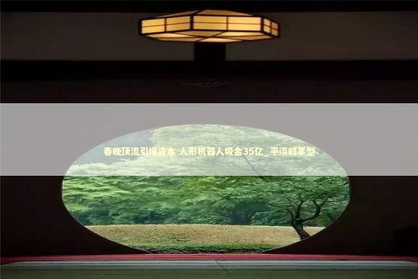 春晚顶流引爆资本 人形机器人吸金35亿_平淡叙事型