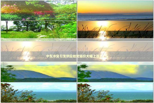 中东冲突引发供应担忧铝价大幅上涨2.1%