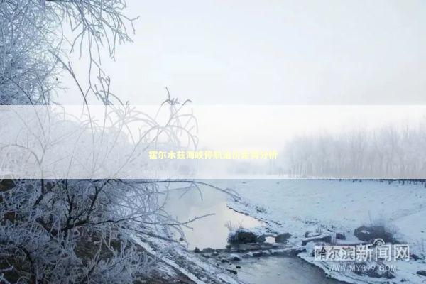 霍尔木兹海峡停航油价走势分析