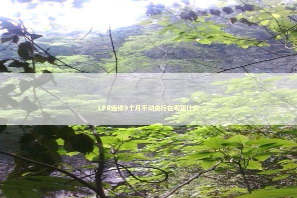 LPR连续9个月不动央行在观望什么