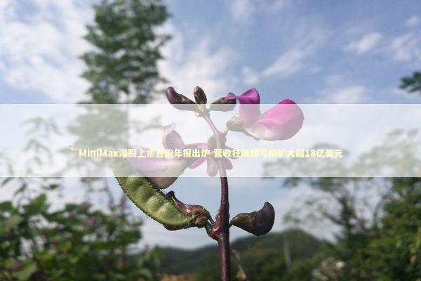MiniMax港股上市首份年报出炉 营收狂飙却亏损扩大超18亿美元