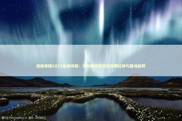 佰维存储2025业绩快报：净利暴增背后的周期红利与困境反转