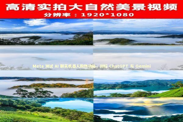 Meta 测试 AI 聊天机器人购物功能，对标 ChatGPT 与 Gemini