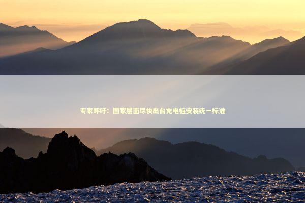 专家呼吁：国家层面尽快出台充电桩安装统一标准