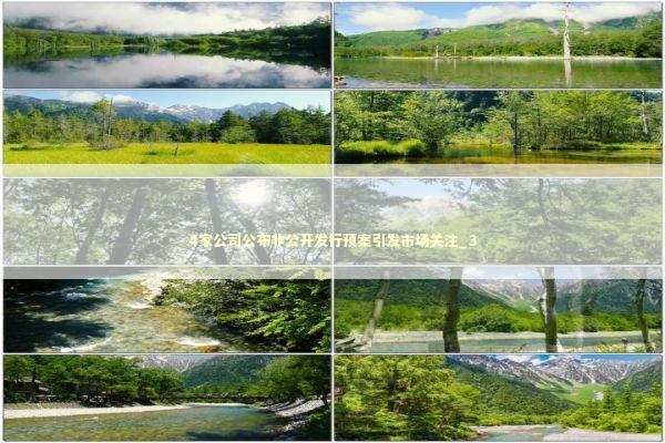 4家公司公布非公开发行预案引发市场关注_3