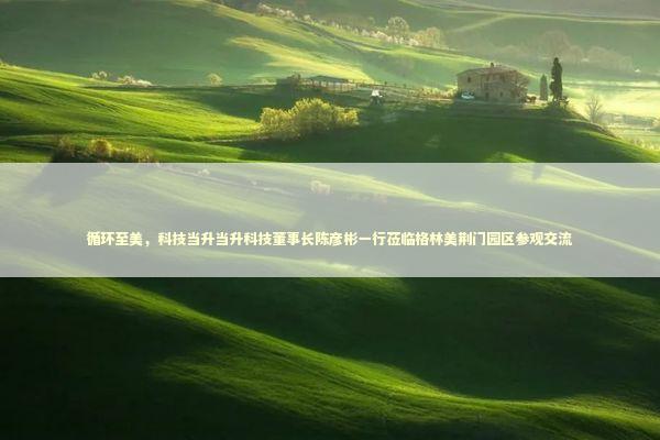 循环至美，科技当升当升科技董事长陈彦彬一行莅临格林美荆门园区参观交流