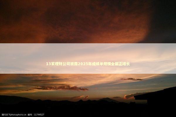 13家理财公司披露2025年成绩单规模全部正增长