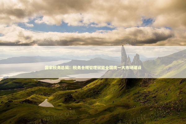 国家税务总局：税务合规管理赋能全国统一大市场建设