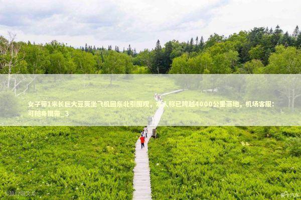 女子带1米长巨大豆荚坐飞机回东北引围观，本人称已跨越4000公里落地，机场客服：可随身携带_3