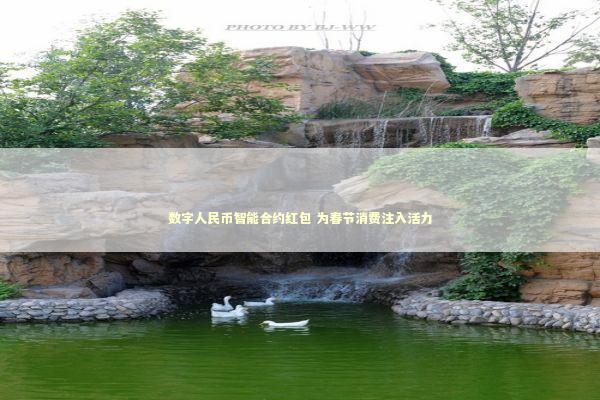 数字人民币智能合约红包 为春节消费注入活力