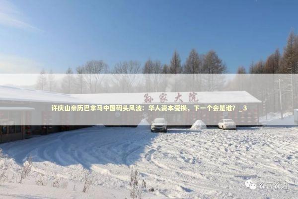 许庆山亲历巴拿马中国码头风波：华人资本受损，下一个会是谁？_3