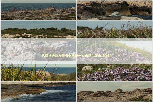 纵深推进融入服务全国统一大市场引发市场关注