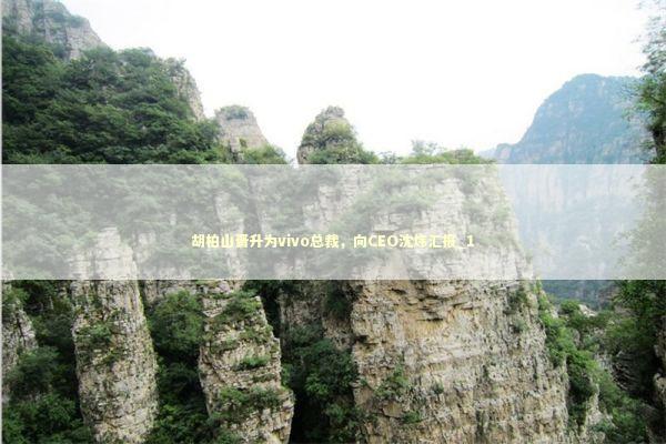 胡柏山晋升为vivo总裁，向CEO沈炜汇报_1