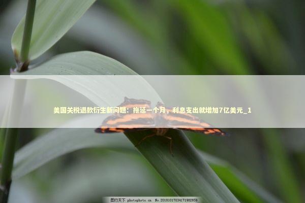 美国关税退款衍生新问题：拖延一个月，利息支出就增加7亿美元_1