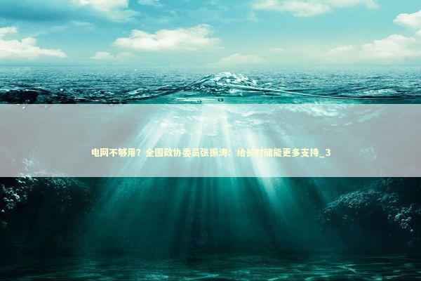 电网不够用？全国政协委员张振涛：给长时储能更多支持_3