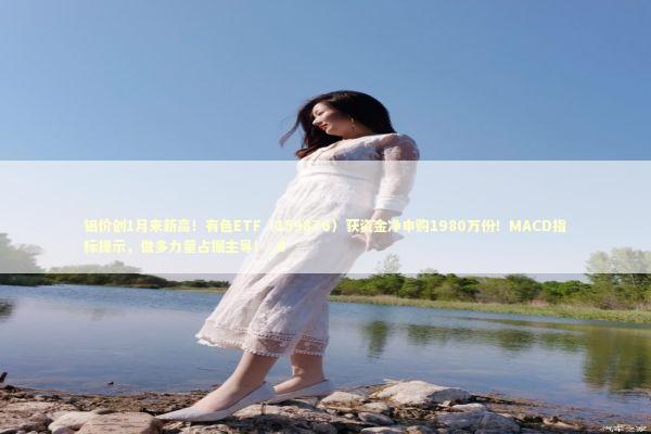 铝价创1月来新高！有色ETF（159876）获资金净申购1980万份！MACD指标提示，做多力量占据主导！_6