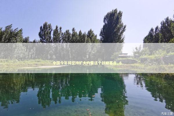 中国今年将坚持扩大内需这个战略基点_6
