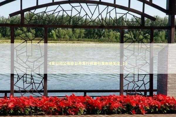 4家公司公布非公开发行预案引发市场关注_10
