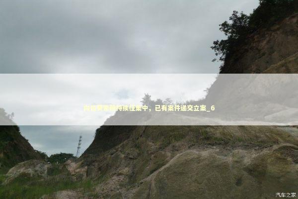 向日葵索赔持续征集中，已有案件递交立案_6