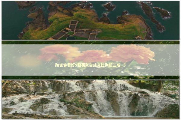 融资客看好5股买入占成交比例超三成_3
