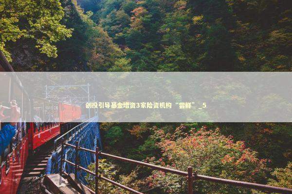 创投引导基金增资3家险资机构“尝鲜”_5 新闻