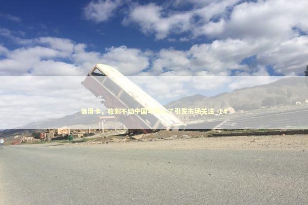 信用卡，收割不动中国年轻人了引发市场关注_14