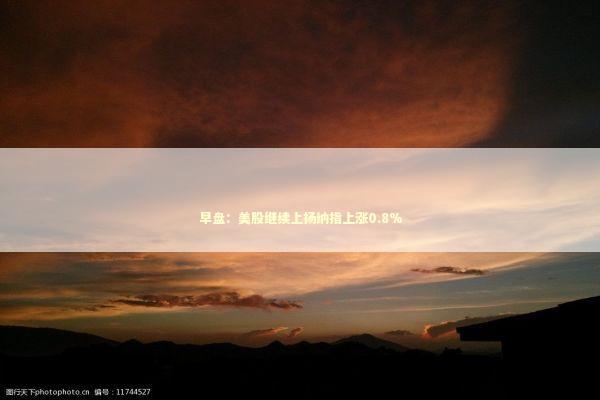 早盘：美股继续上扬纳指上涨0.8%