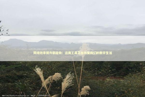网络效率提升新趋势：这类工具正在改变我们的数字生活