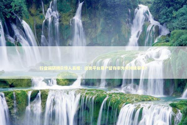 行业调研揭示惊人真相：这类平台用户留存率为何持续攀升？ IT技术